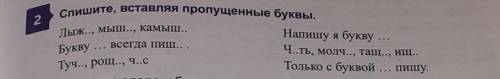 Вставьте пропушеные буквы ​