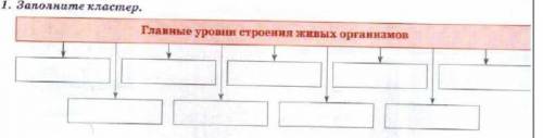 Заполните кластер Уровни строения живых организмов