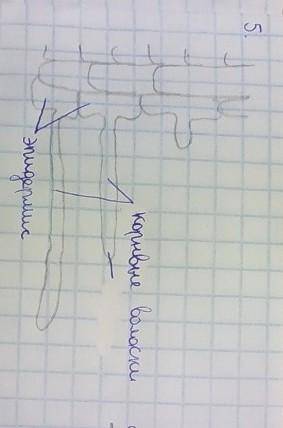 Что будеттв необозначенном месте ​возле 3ей палочки​