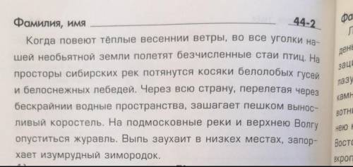 Найдите ошибки (их тут 8)​