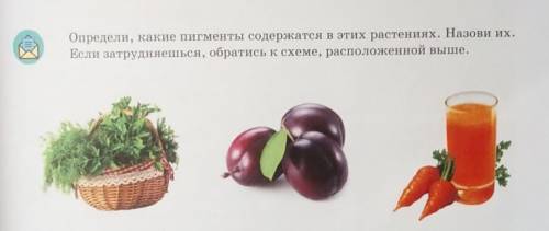 Определи, какие пигменты содержатся в этих растениях. Назови их. Если затрудняешься, обратись к схем