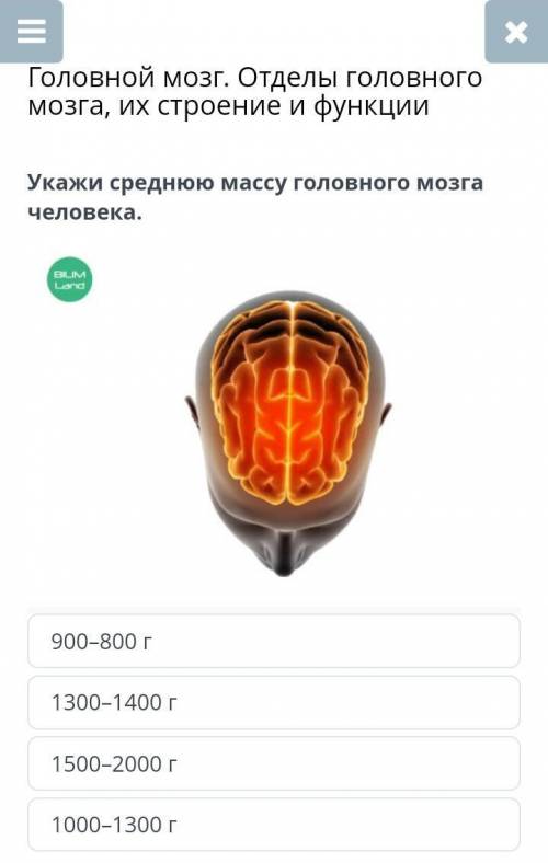 мне по билиим Лэнд биология