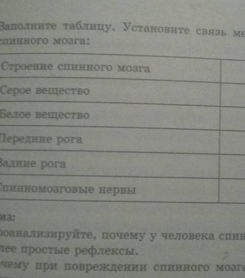 по биологии таблица строение спинного мозга функции 