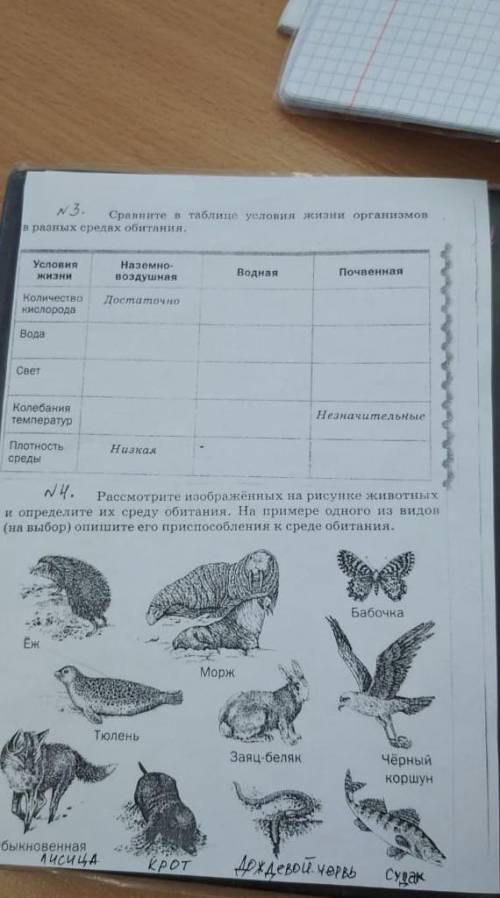 Среды обитания организмов
