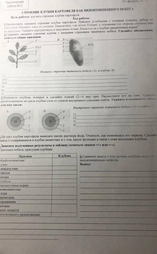 с биологией(простите что обрезано
