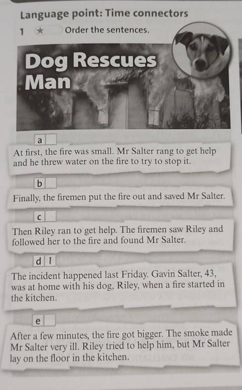 Order the sentences dog rescues