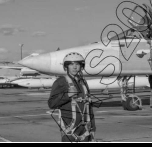 Опишите картинку в 10 предложений