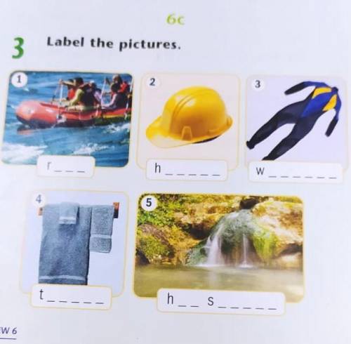 Label the picturespls pls pls