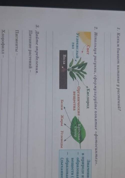Естествознание сделаю лучшим 