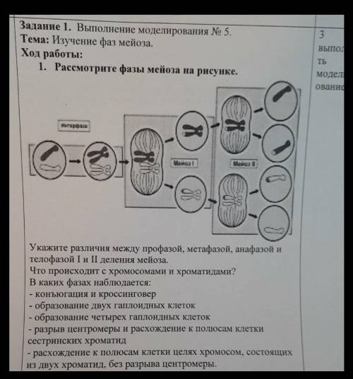 Выполните моделирование и ответьте на вопросы 
