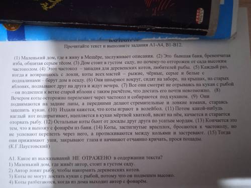 По русскому правильно это тэсты