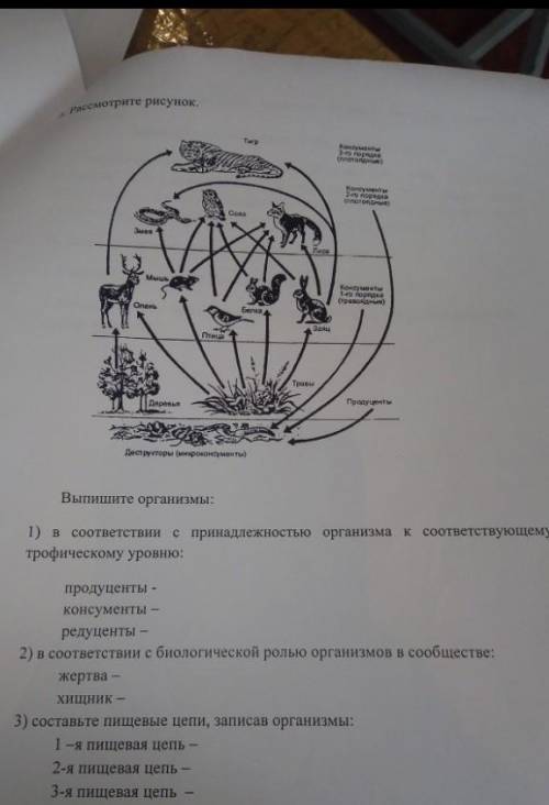 эту таблицу нужно заполнить.