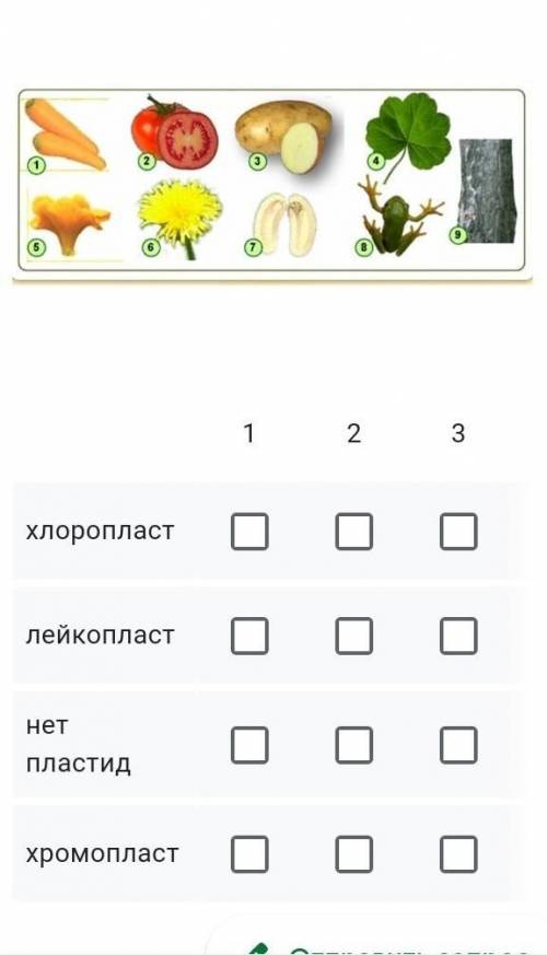 Нужно У МЕНЯ ТЕСТ ДАЮ 80Б