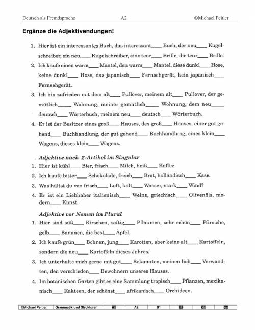 Ergänze die Adjektivendungen!