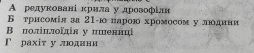 Із вказаних змін модифікацією є