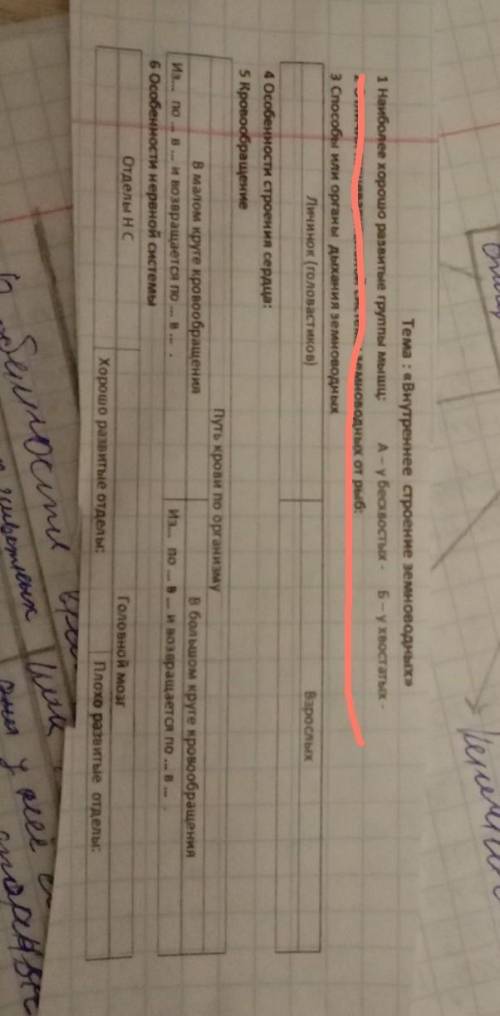 у кого наиболее хорошо развиты группы мышц А у бесхвостых б у хвостатых ( 1 вопрос) 