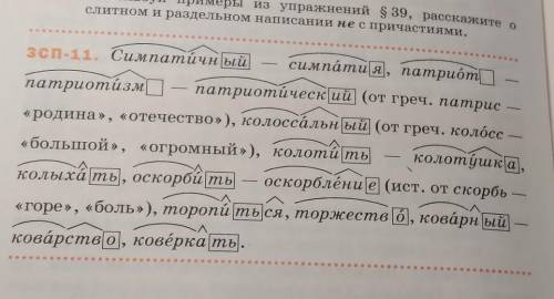 сделать разбор ПОЛНЫЙ зсп 