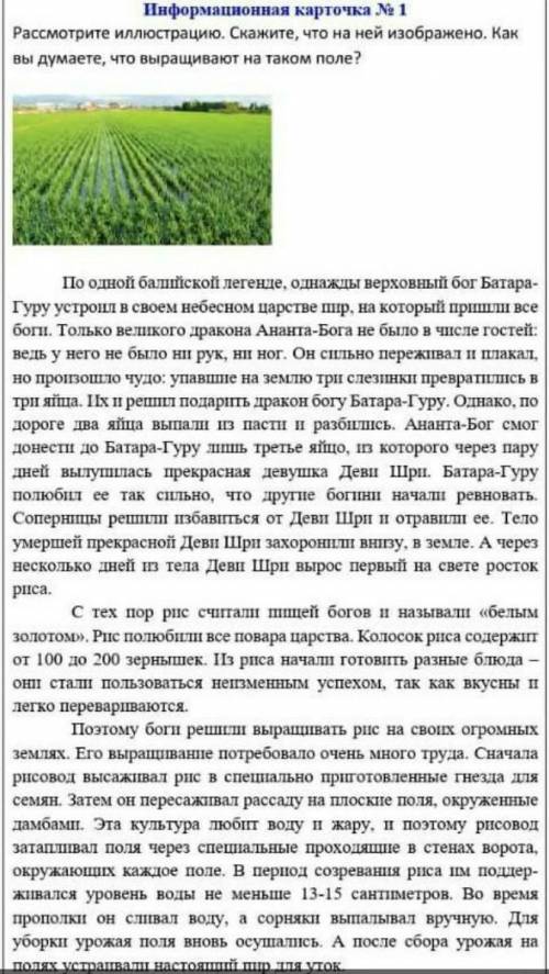 С какой целью после сбора урожая на рисовых полях устраивался пир для уток
