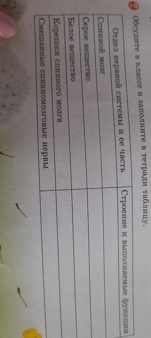 Обсудите в классе и заполните в тетради таблицу..