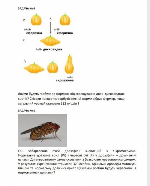 Розв'яжіть будь ласка задачі 