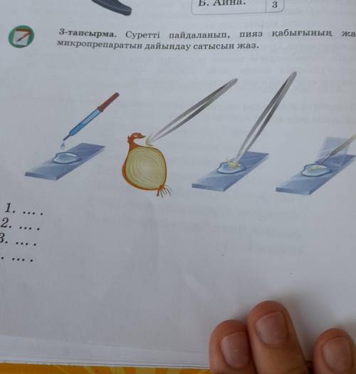 Суретти пайдаланып,пияз кабыгынын жасушасы микропрепарат дайындау сатысы жаз.