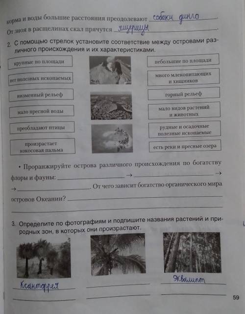 ОЧЕНЬ НАДО решить эту страницу