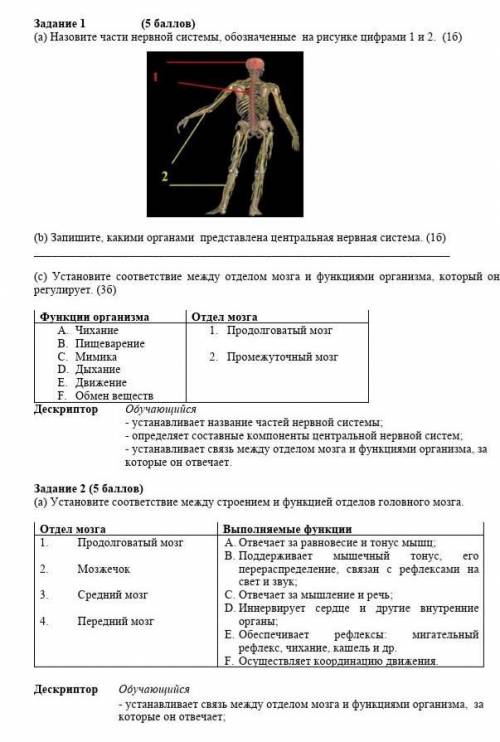если не трудноЗаранее благодарю!​Это биологиия