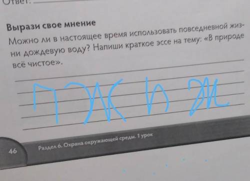 Краткое эссе на тему в природе все чистое
