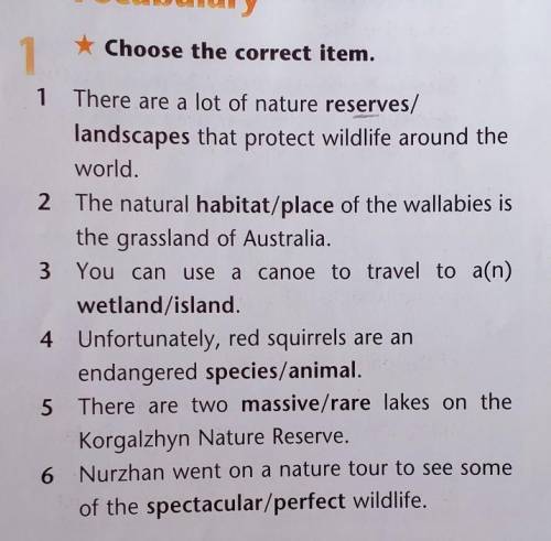 1Choose the correct item.