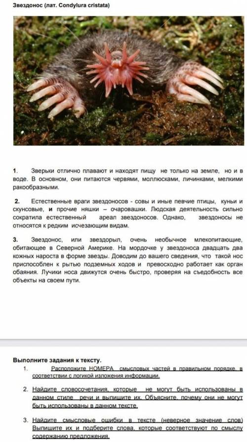 По Русскому языку кто нибудь меня 