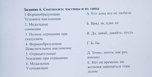 Соотнесите частицы и их типы