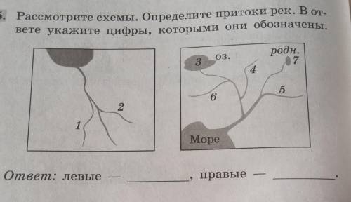 я не понимаю как это делать