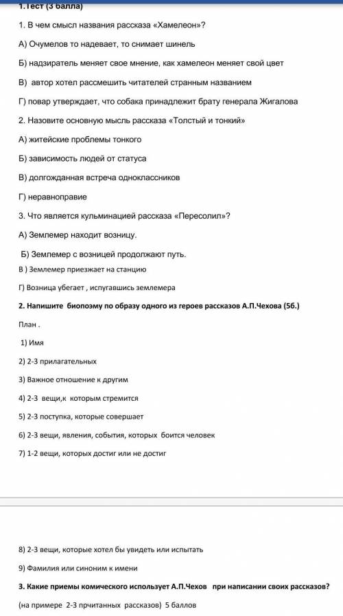 Сор по литературе 8 класс 3 четверть