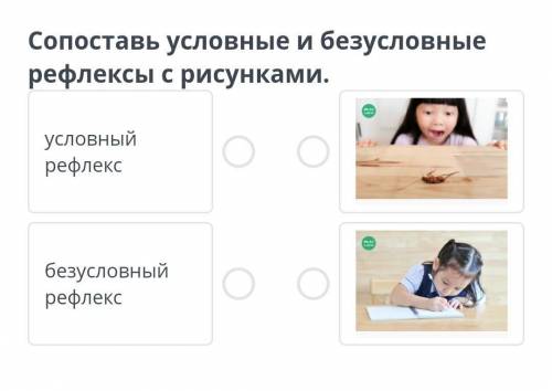 Сопоставь условные и безусловные рефлексы с рисунками. условный рефлексбезусловный рефлекс￼￼​