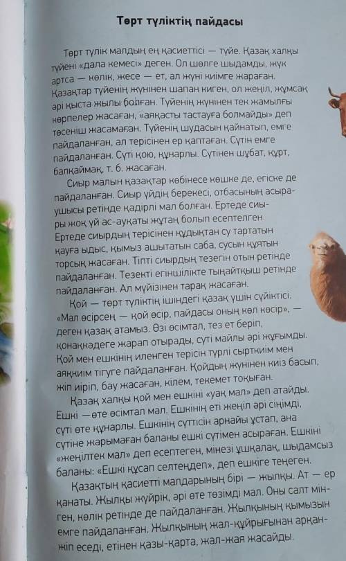 Мәтін бойынша диалог құру 8 сұрақ және 8 жауап​