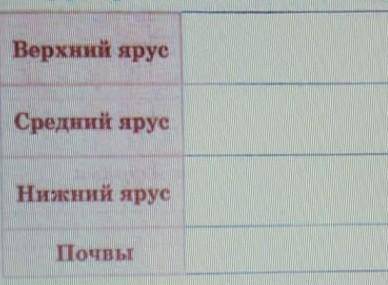 Охарактеризуйте ярусы растительности во влажных экваториальных лесах. 