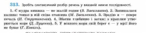 Мне нужен выполнить вправа 313