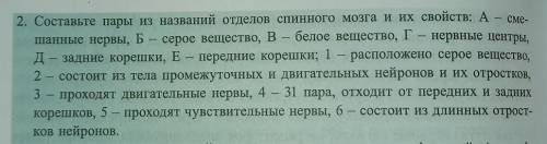 Составьте пары из названий данных на картинке )))
