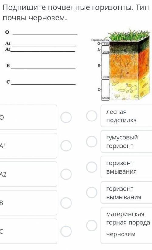 ЕСЛИ НЕ ЗНАЕТЕ ПРАВИЛЬНЫЙ ОТВЕТ НЕ ПИШИТЕ
