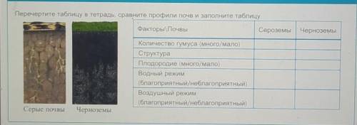 Перечертите таблицу в тетрадь, сравните профили почв и заполните таблицу.