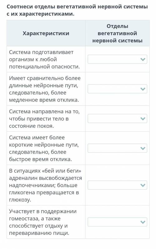 Соотнеси отделы вегетативной нервной системы с их характеристиками.