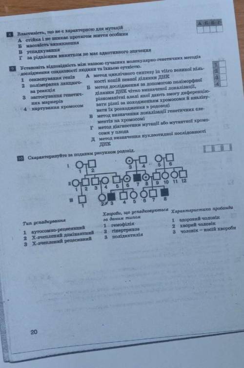 Дайте ответ 9 клас биология