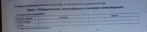 Половая система амфибий номер