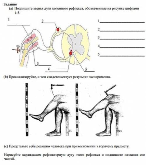 УОП УОП ПОЖИЛИ И ХВАТИТ , УОП УОП 