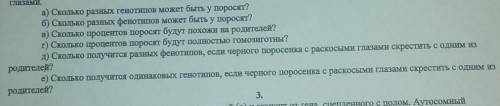 (задания прикреплены решить задачу по генетике.(Дано+решение) У кабанов круглые глаза (А) доминируют
