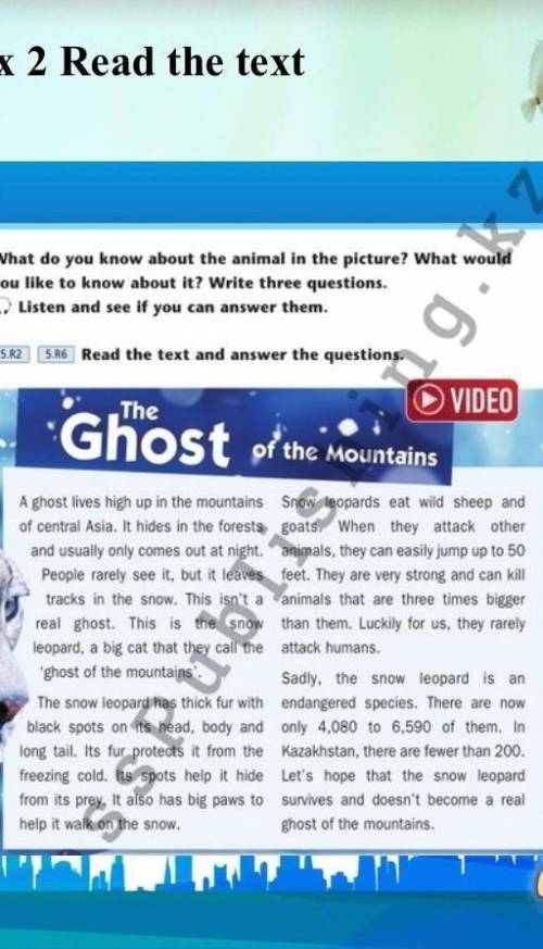 Ex 2 read the text and answer the questions.
