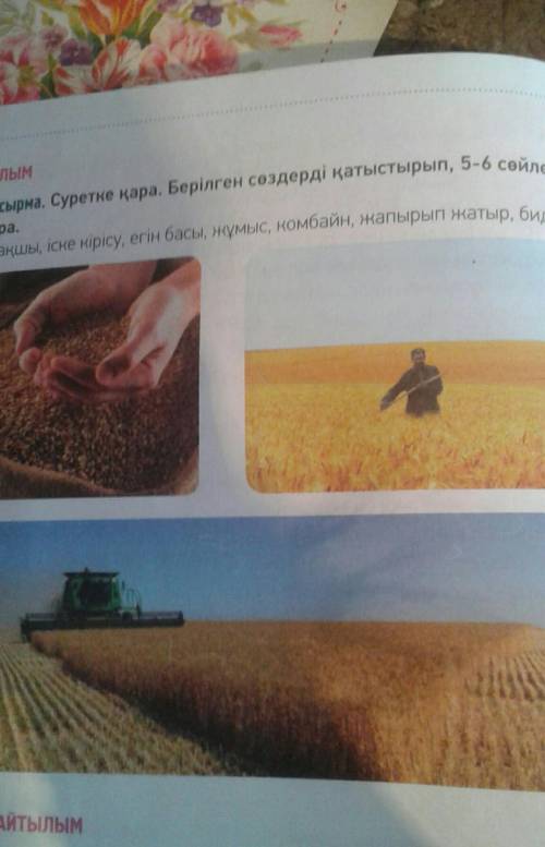 Суретке қара. Берілген сөздерді қстыстырып ,5-6сөйлем құрандар 