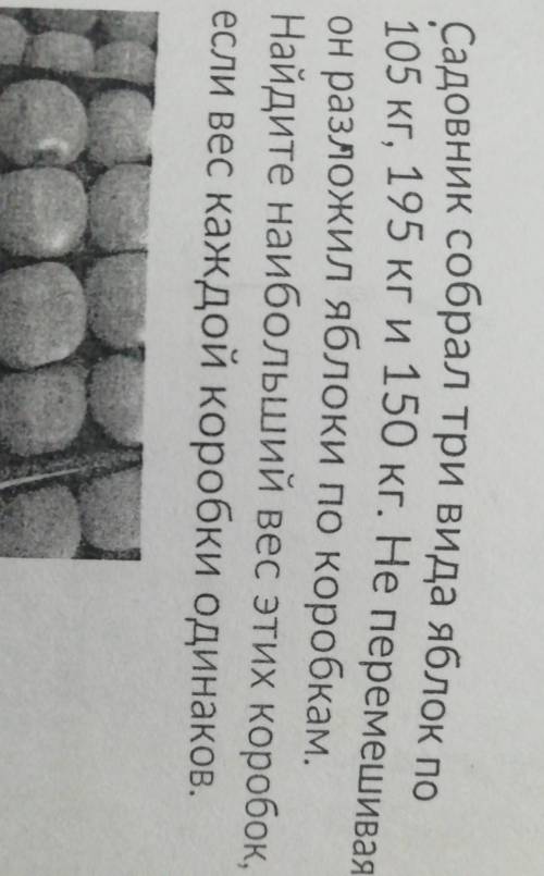 решить задачу с решением 