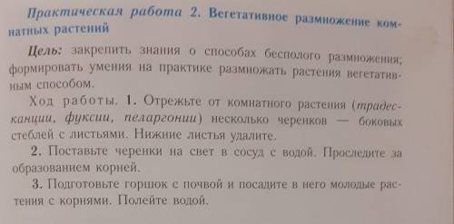 Практическая работа по биологии 6 класс!
