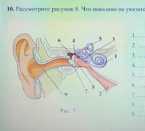 Рассмотрите рисунок 7. Что показано на указателях под цифрами 1-9? 12.3.4.5.6.7.8.9.